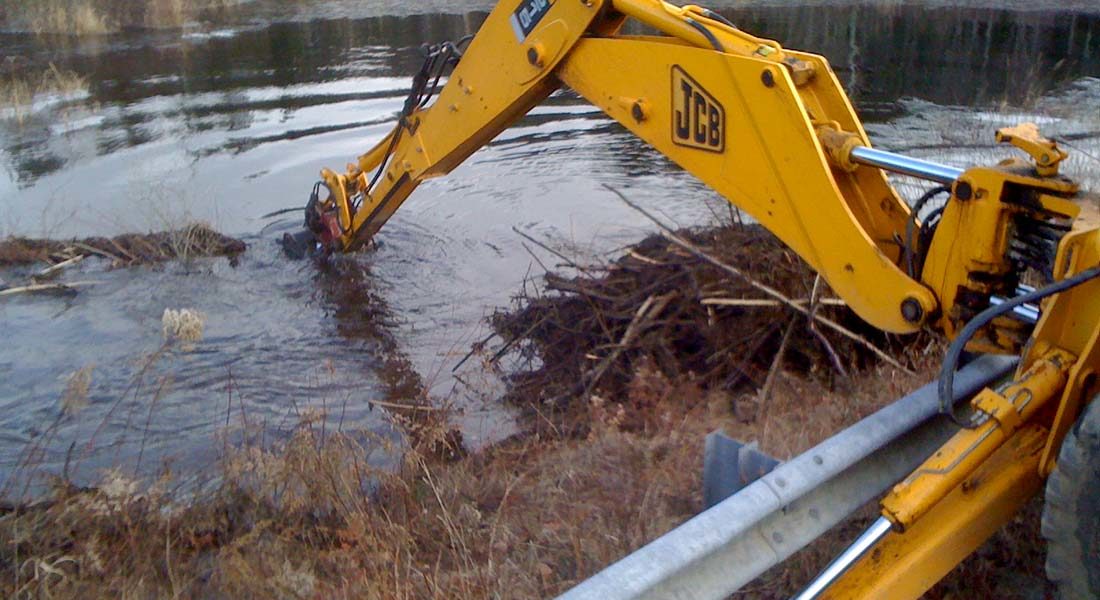 How Blocked Road Culverts Become Beaver Proof Culverts - Beaver