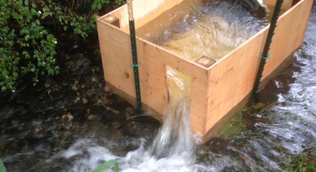 Salmon Fish Passage at Beaver Dams - Beaver Solutions LLC