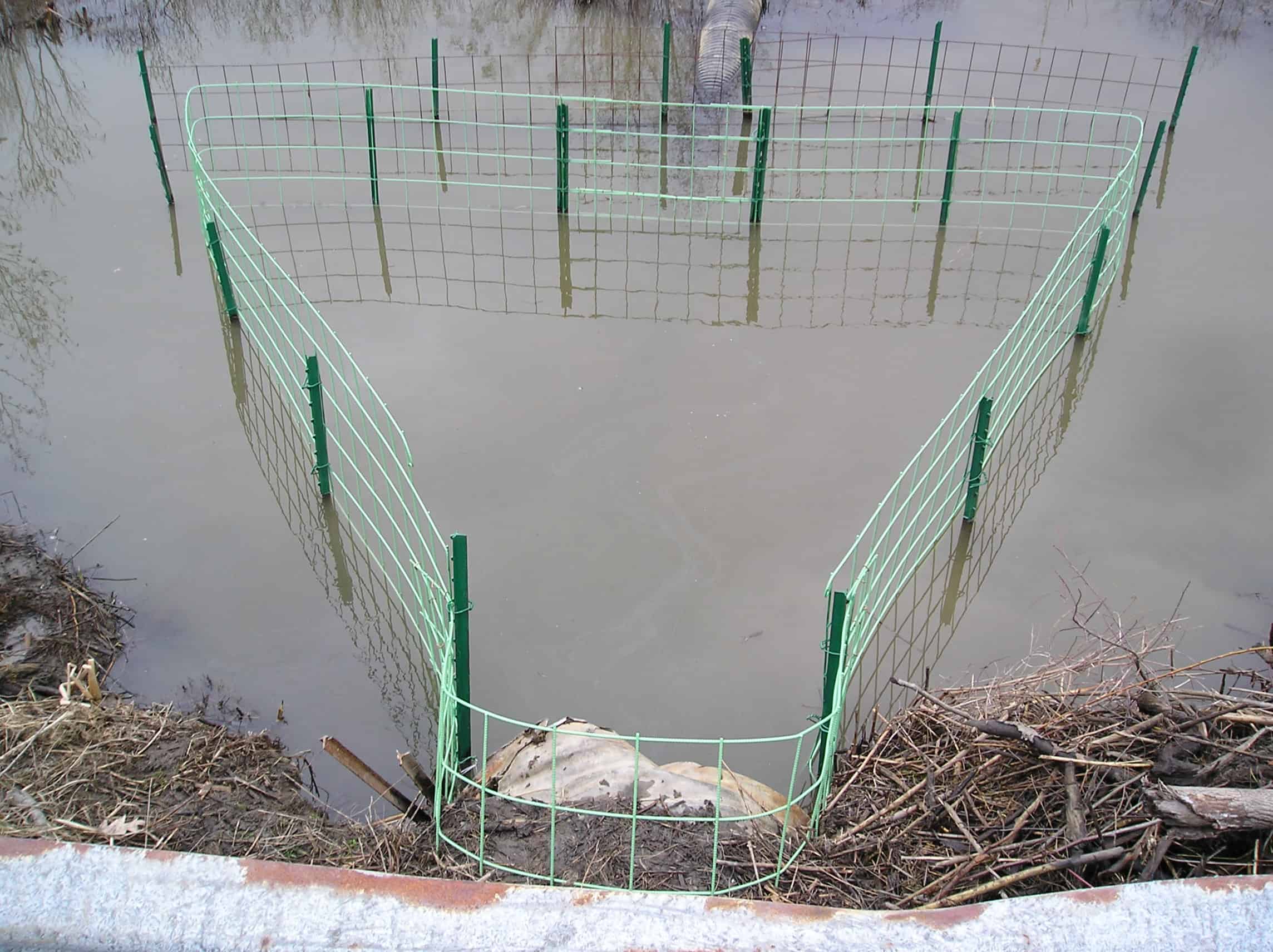 Beaver Proof Culvert, Beaver Pipe & Fence | Beaver Solutions