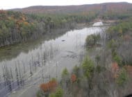 Beaver Pond Levelers: Flood Control | Beaver Solutions